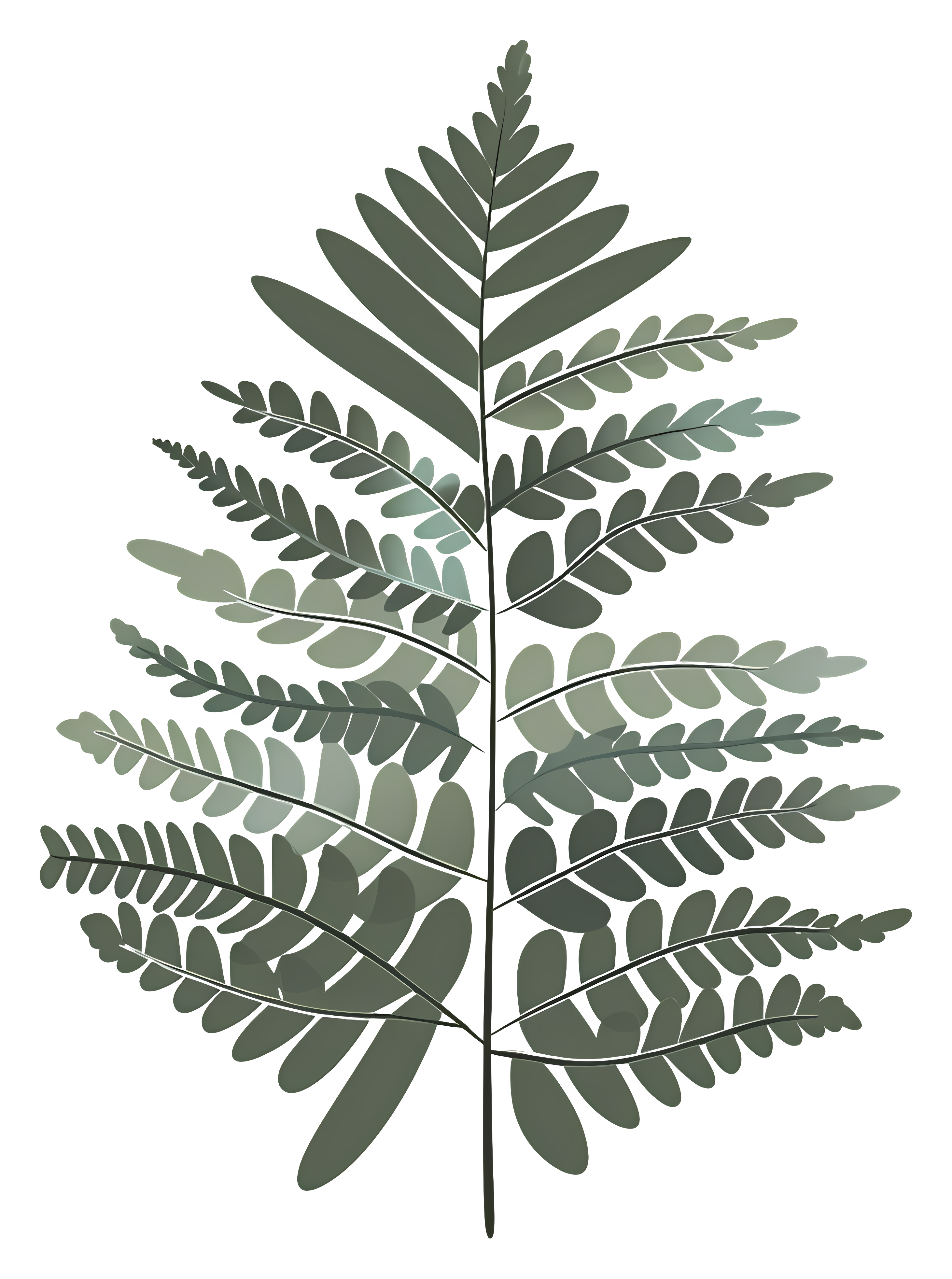 Branch Decor